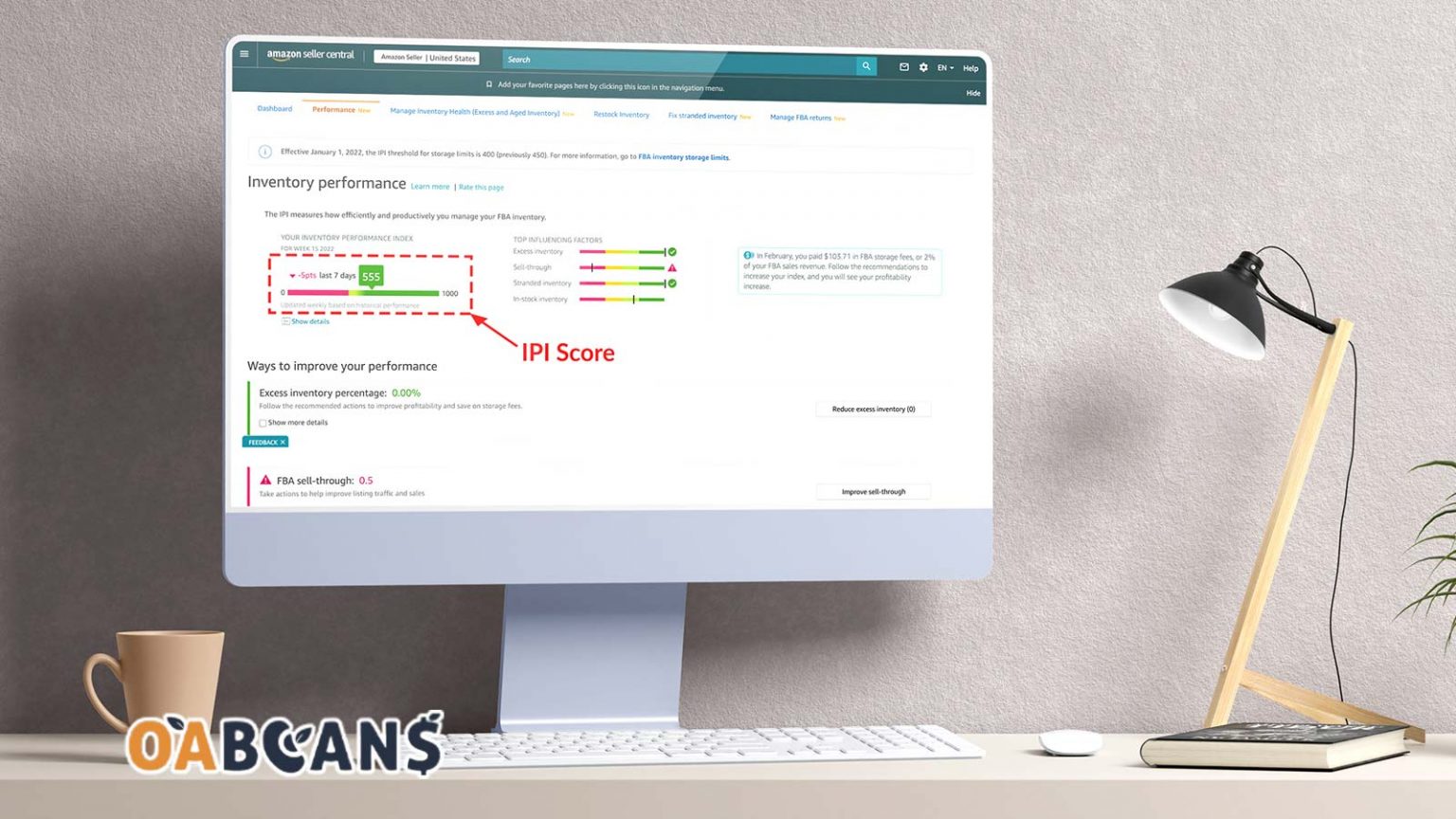Ultimate Guide About Amazon Storage Limits & IPI Score OABeans