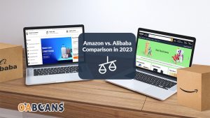 The main difference between Alibaba and Amazon is the audience